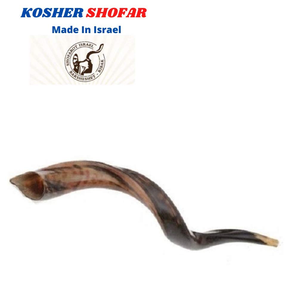 40,6 - 48,3 cm natürliches, authentisches Koscher-Yemenit Kuduhorn Schofar jüdisch – Israel