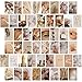 TROOPIC - 50 Pièces Affiches Decoration Murale Aesthetic, Collection Beige, Finition Mate, 10,2 x 15,2 cm, Épaisseur 300 g/m2 - Wall Collage kit, Deco chambre fille
