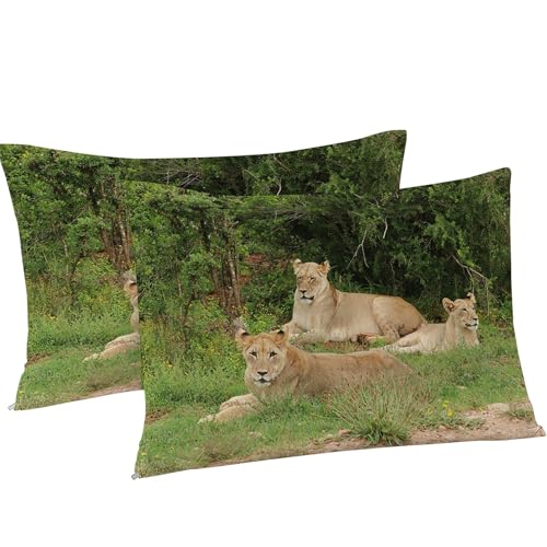 Housse de couette 240x260 lion parure de lit anti-plis facile à laver