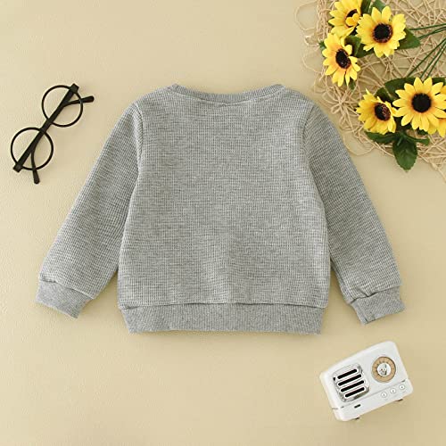 Moletom infantil infantil para meninos e meninas, blusa de manga comprida, casual, outono e primaver