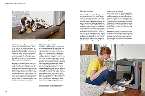 Welpentraining mit Martin Rütter: Erfolgreich durch die ersten Monate - Der SPIEGEL-Bestseller #1