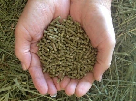 rabbit feed pellets