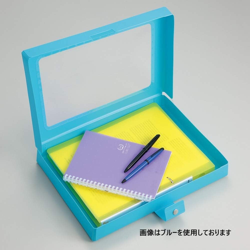 リヒトラブ CUBEFIZZ ハンドケース A4 ベージュ A699-16