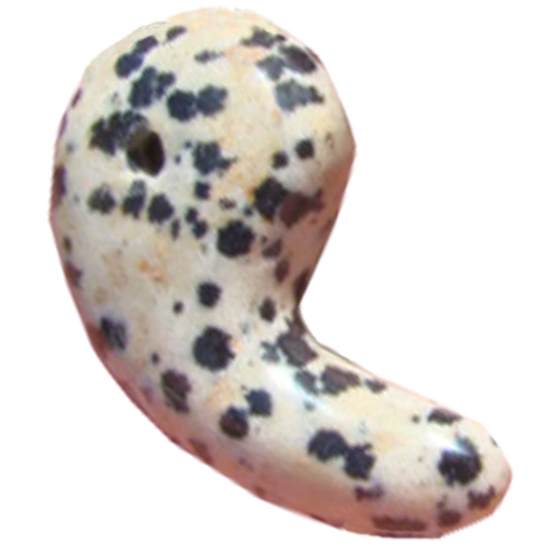 Ham8310 Dalmation shell stone piece with hole