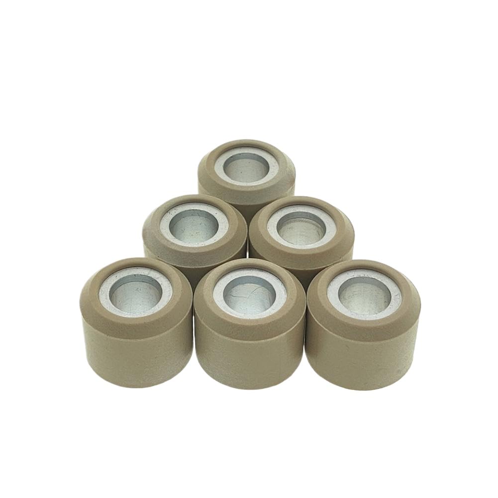Set Rulli Variatore Corsa 6 Pezzi 16g Compatibile Con Target 250 2x4 325