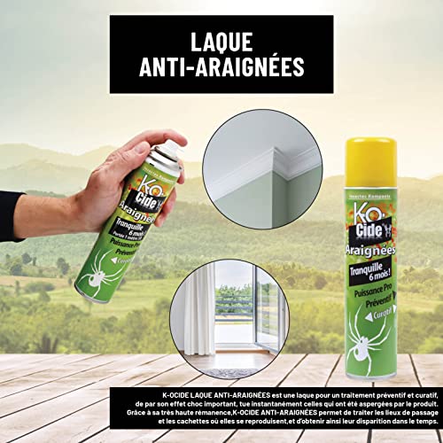Anti-araignées laque K-OCIDE barrière persistante 6 mois - 3