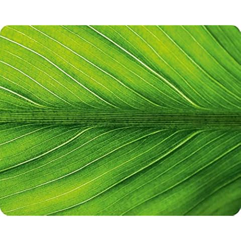 Tapis de souris Edition Colibri Cover