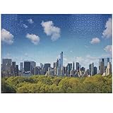 ABAKUHAUS Ciudad Rompecabezas, Central Park de Nueva York Midtown, Calidad de Herencia Actividad Divertida para la Familia Cartón Resistente, 1000 Piezas, Azul Verde Marfil