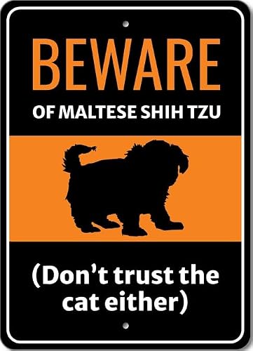 Beware Of Maltese Shih Tzu Dog Don't Trust The Cat Either Sign