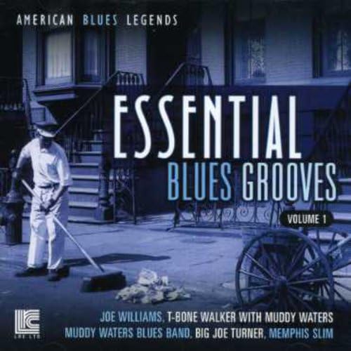 Vol. 1-Best Of Blues Singers