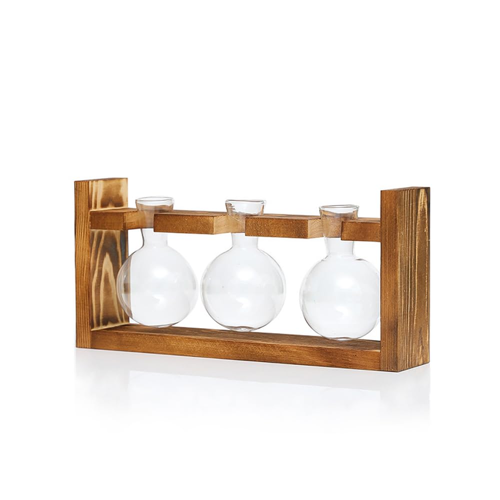 Woohome 3 Piani Supporto Per Piante Idroponiche Vetro Provetta, Vaso