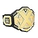 WWE Authentic Wear NXT Championship Commemorative Title Belt Gold