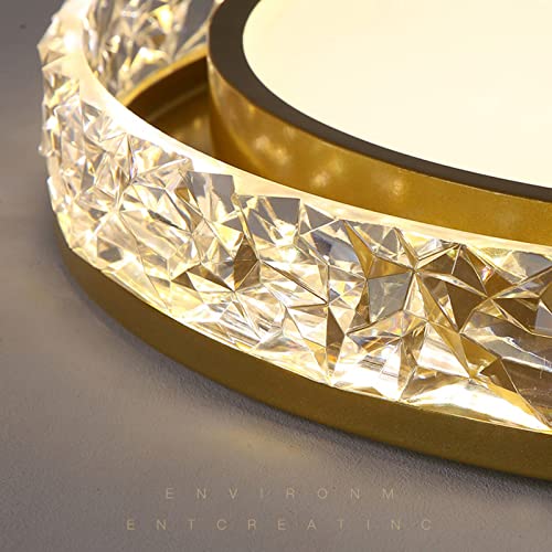 Plafonnier de luxe léger à LED lumineuse pour entrée chic - 4