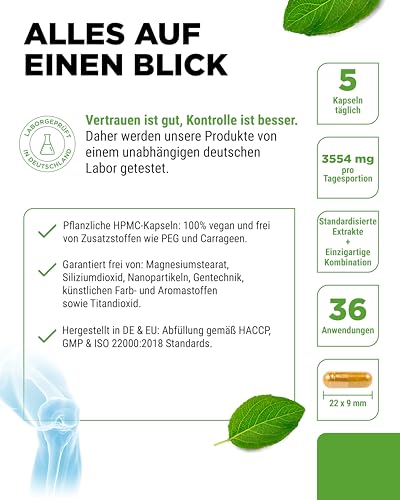 vit4ever Gelenk Flexit - 180 Kapseln - Hochdosierter Komplex mit Glucosamin + MSM + Weihrauch Extrakt + Chondroitin + Curcuma + Quercetin + L-Methionin + Bromelain + Vitamin C