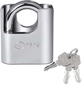 51IfALaYNDL._AC_UF350,