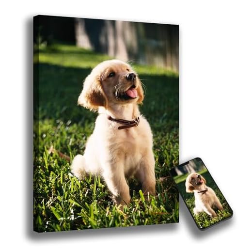 OOPS Cuadro Personalizado con tu Foto | 100% Personalizable | Bastidor de Madera | Regalo para Bodas, Cumpleaños, San Valentín y Recuerdos (Lienzo, 30x20)