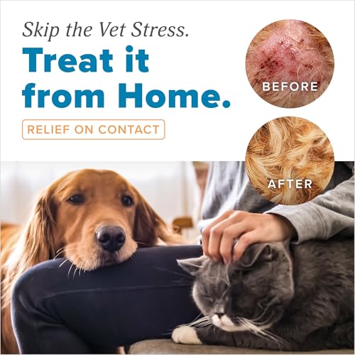 Image of TropiClean HomeVet Allergy & Itch Spray, Hot Spot Spray for Dogs, 8oz