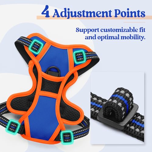 rabbitgoo Dog Harness No Pull with 2 Leash Clips, Adjustable Soft Padded, Reflective Oxford No Choke Pet Vest with Easy Control Handle for Puppy, Blue & Orange, XS - Thumbnail 4