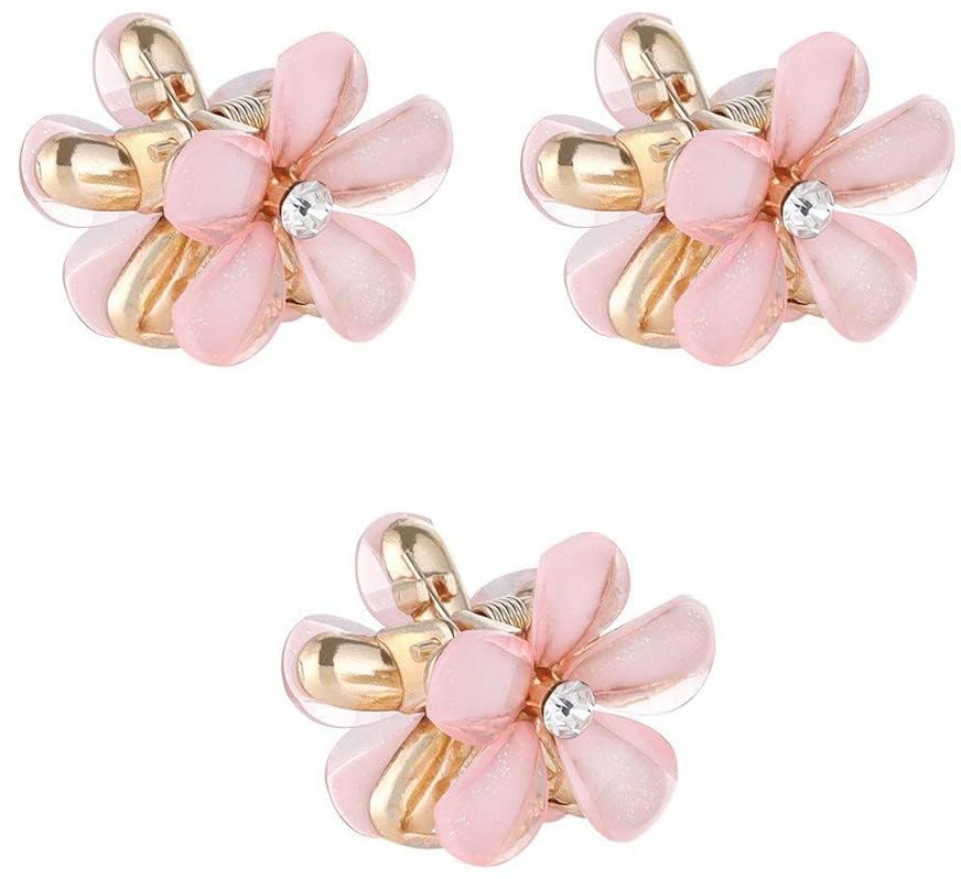 Gift for Girls Age 12-14 Years | Korean Style Women’s Set Hair Clip Mini Clutcher pin Hair Accessories set For Women And Girls HBPRua