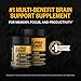 Onnit Alpha Brain Review