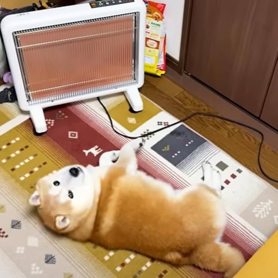 Amazon | サンルミエシリーズ最上位モデル エクセラ7(ホワイト) 省エネ