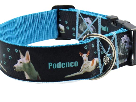 Halsband 'Podenco' Größe SM bis 40 cm Halsumfang