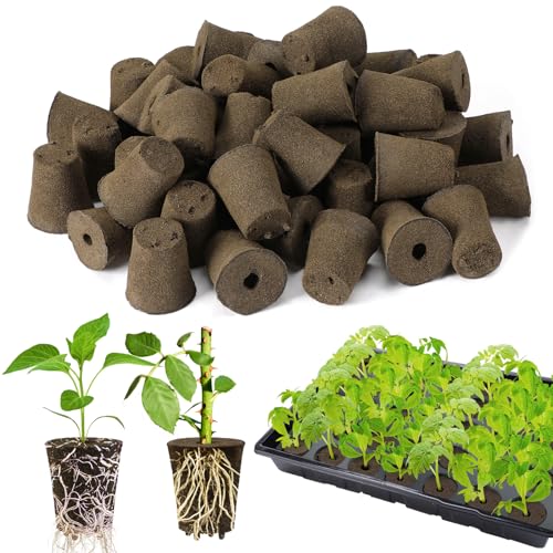 Bigmeta 50 Pcs Rooting Sponges, Starter Plugs for Seedlings or