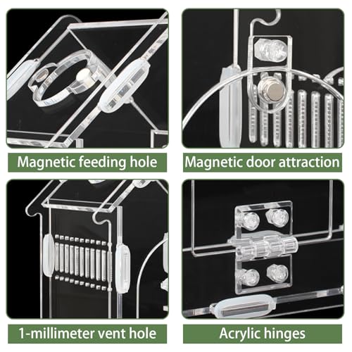 Image of Magnetic Acrylic Terrarium for Jumping Spiders & Small Pets - Easy-Access Front Opening, Feeding Hole, Ideal for Reptiles, Tarantulas, Hermit Crabs & More