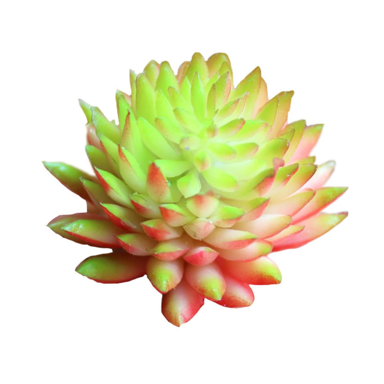 Cabilock 18 Pcs Artificial Succulent Faux Plants Decor Plants Succulent Plant Unpotted Succulent Lifelike Plant Adornment Terrarium Bowl Artificial Flower Heads Faux Cactus Decorations Mini