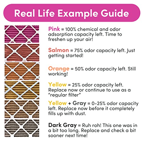 Image of 12x20x1 Air Filter by Colorfil | Color Changing Filters for Cat and Dog Odor | MERV 8 Furnace AC Filter for Pet Hair and Dust | 11.5 inchx19.5 inchx0.75 inch Exact Size | Pack of 2