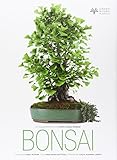 Bonsai. Ediz. illustrata