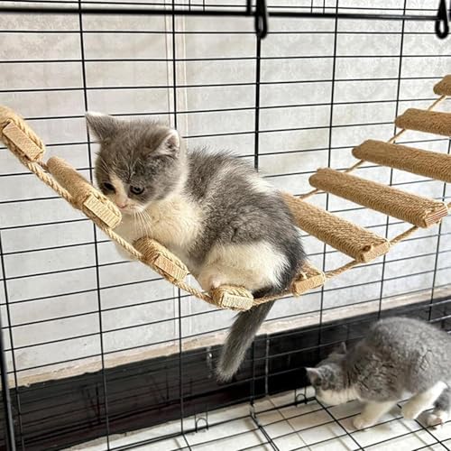 Échelle pour chat 101,6 cm avec marches à gratter pour appartement