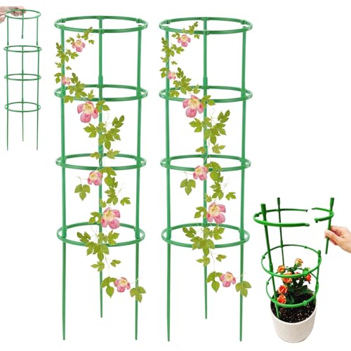 support plante grimpante,tuteur tomate 200 cm,tuteur rond,kit palissage plantes grimpantes,support rosier grimpant exterieur,tuteur hortensia,fraisier grimpant a planter,support de tige de plante
