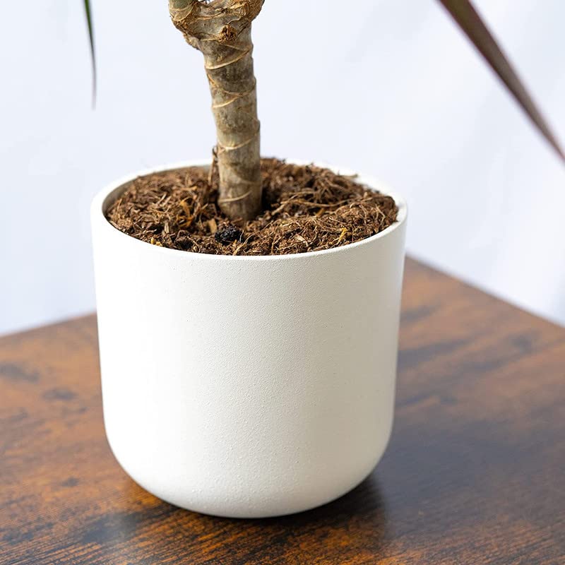 SMPLY. Macetero Decorativo de Terracota Redondo para Plantas Interior y Exterior Ideal para Terrazas y Jardínes 15 x 15 cm Blanco — view 3