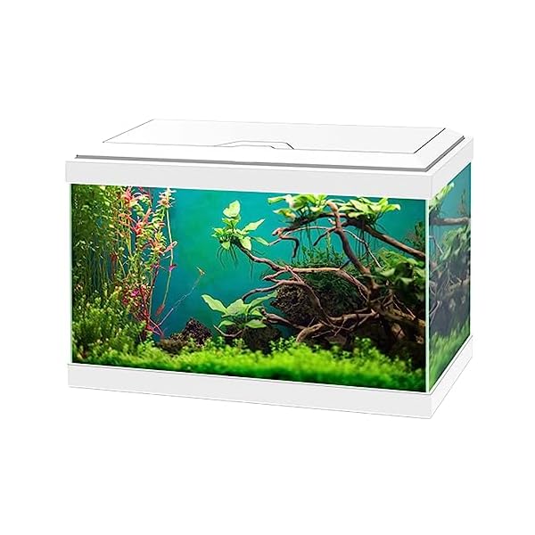 Ciano Aqua 20 Classic Aquarium Fish Tank - White