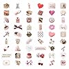 BulbaCraft 100Pcs Coquette Stickers - Coquette Aesthetic, Small Waterproof Pink Sticker Sheets for Phone Cases, Gifts for Women & Men #3