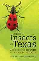 Common Insects of Texas and Surrounding States: A Field