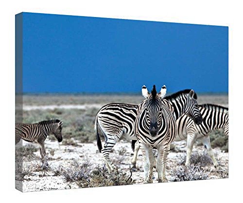 Toile zèbres africains entrelacés avec cadre bois idée cadeau idéale