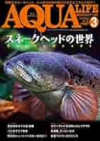 【貴重！】月刊アクアライフ スネークヘッド特集 4冊セット 月刊アクアライフ 2020年06月号 スネークヘッド2020 |本 | 通販