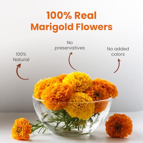 Image of BLUE TEA - Marigold Tea - 25 gm - 25 cups | Natural Sun Dried Marigold Flower | RELIEVES PAIN | Caffeine Free - Flower Based - Herbal Tea - Non Bitter | Pet Jar