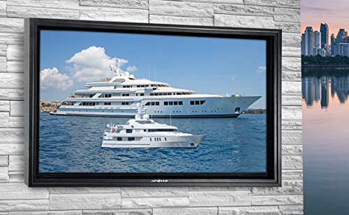 Apollo Outdoor TV Enclosure for Slim 70\" to 75\" TVs - (Apollo Weatherproof Mount Sold Separately)