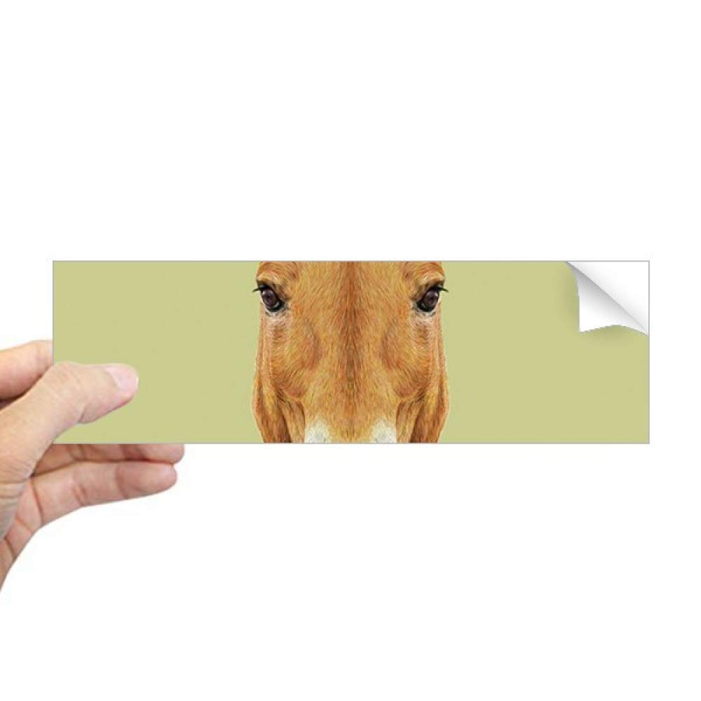 Autocollant cheval sauvage marron - Sticker rectangulaire multi-surfaces