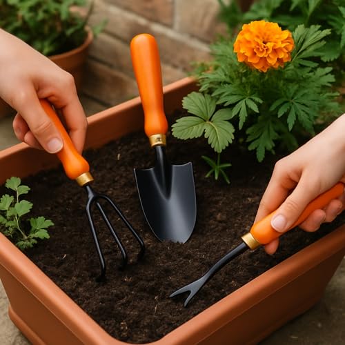 Image of Kraft Seeds Garden Tool Set of 3 Pcs - Home Tools & Gardening Tools Kit for Home Garden- (Big Trowel, Cultivator, Weeder) - Terrace Gardening Accessories, Gardening Essentials, Garden Tools Heavy Duty