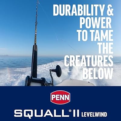 Penn 6'6 Squall II Level Wind Saltwater Rod and Reel Fishing Combo, 1-Piece Fishing Rod, Black/Gold