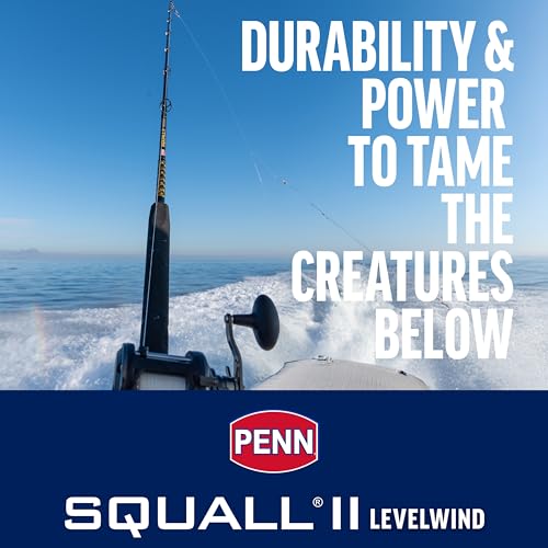 PENN Squall II Level Wind Conventional Reel and Fishing Rod Combo, Black/Gold by PENN - Image 2