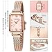 LN LENQIN Relojes Mujer Acero Inoxidable Reloj de Mujer Resistente Al Agua Reloj de Cuarzo AnalóGico Correa de Malla Imagen de LN LENQIN Relojes Mujer Acero Inoxidable Reloj de Mujer Resistente Al Agua Reloj de Cuarzo AnalóGico Correa de Malla
