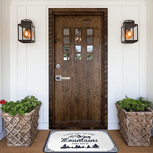 Tapis d'extérieur pour porte d'entrée antidérapant et robuste