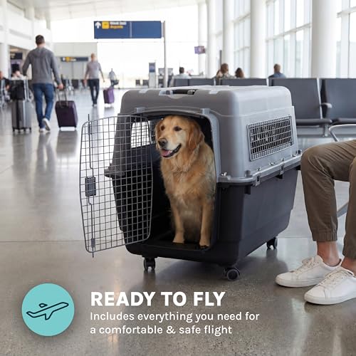 Image of SportPet Airline Compliant X-LARGE 35.5 inch Travel Dog Kennel-Durable Plastic Airline Pet Carrier w /Removable Wheels & Food Bowls, Collapsible Indoor /Outdoor Dog Kennel, Dogs up to 32 inchL & 23 inchH-Dark Gray