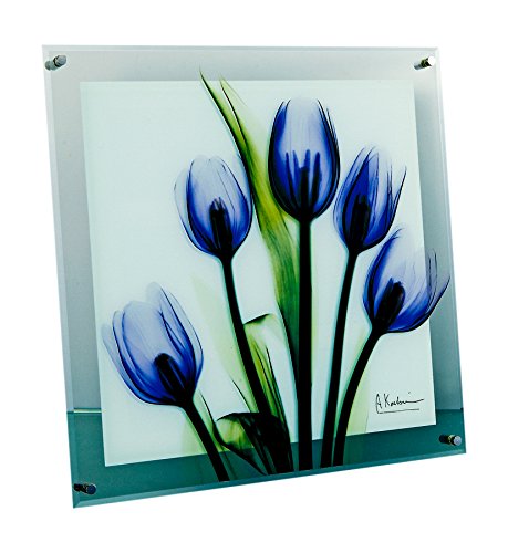 ユーパワー 植物 花 パープル W30×H30×D2cm