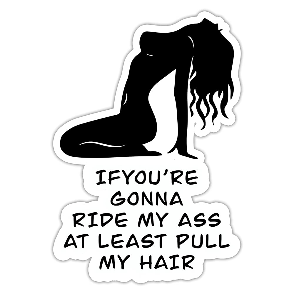 YOU ARE MY SUNSHINE 3 Pcs/Pack - If You're Going to Ride My Ass at Least Pull My Hair Girl Sticker - Laptop Water Bottle Tumbler Car Truck Bumper Helmet Phone Gift Window Sticker 3"x4" A2-28062121